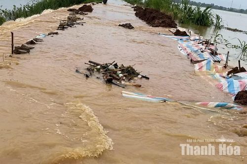 Tràn đê bao sông Cầu Chày