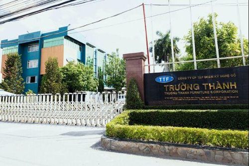 Lỗ lũy kế vượt 3.500 tỷ đồng, cổ phiếu Gỗ Trường Thành bị đưa vào diện cảnh báo