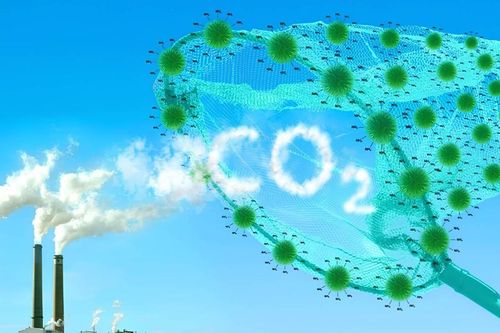 Hà Nội: Phối hợp liên ngành kiểm soát phát thải khí nhà kính, tham gia thị trường carbon