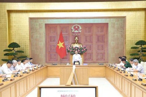 Điều chỉnh Quy hoạch lâm nghiệp: Bảo đảm đồng bộ dữ liệu, gắn giữ rừng với sinh kế người dân