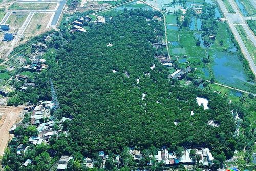 Gần 399 tỷ đồng đầu tư hệ thống hạ tầng kỹ thuật và giao thông Khu di tích Đồi Trung Sơn