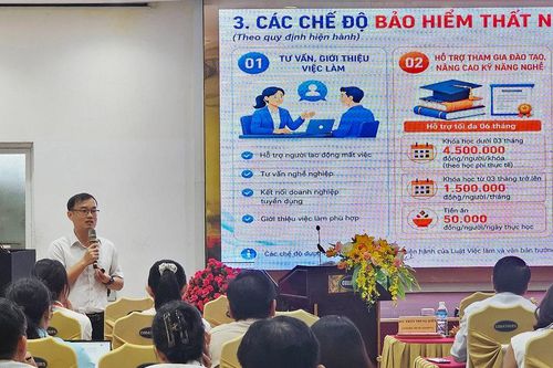 Phường Hải Châu tư vấn chính sách bảo hiểm thất nghiệp cho người lao động