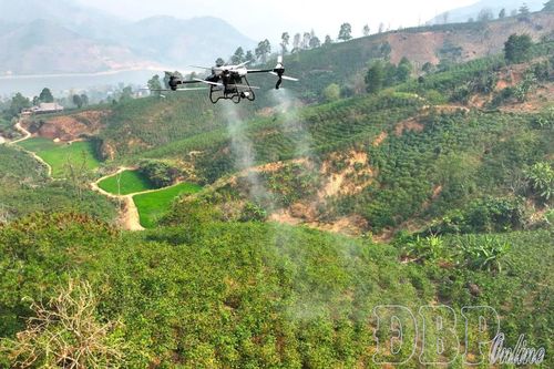 Mở hướng cho nông nghiệp Điện Biên