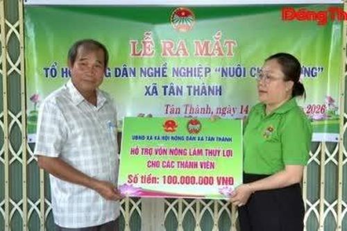 Hiệu quả từ các mô hình kinh tế mới ở Tân Thành