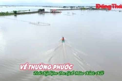 Về Thường Phước trải nghiệm du lịch mùa nước nổi