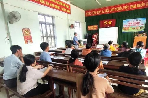 Bình Khê tập huấn kỹ thuật chăn nuôi bò sinh sản cho hộ nghèo