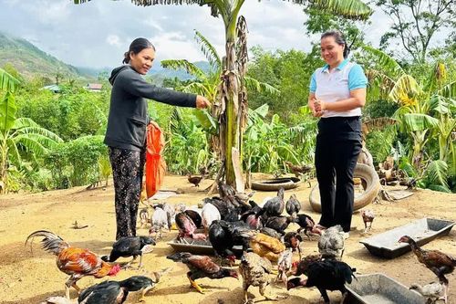 Hỗ trợ phụ nữ dân tộc thiểu số phát triển kinh tế