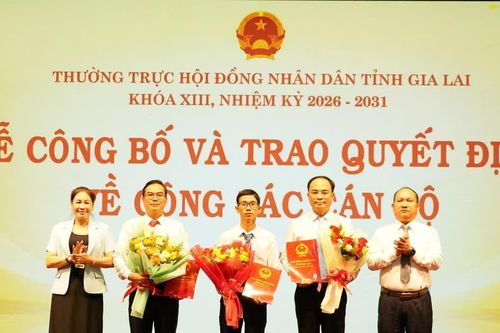 Tiếp nhận, bổ nhiệm 3 Phó Chánh Văn phòng Đoàn ĐBQH và HĐND tỉnh Gia Lai
