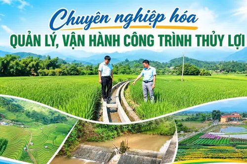 Chuyên nghiệp hóa quản lý, vận hành công trình thủy lợi