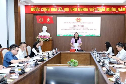 Trưởng Đoàn Đại biểu Quốc hội tỉnh Lào Cai Giàng Thị Dung: Nâng cao trách nhiệm, tham gia góp ý sâu sắc các dự án luật