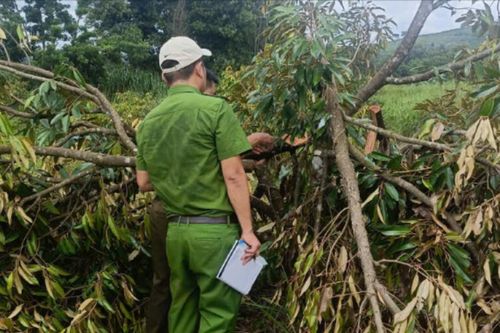 Quảng Trực xác minh thông tin giữ người trái quy định sau vụ chém bảo vệ
