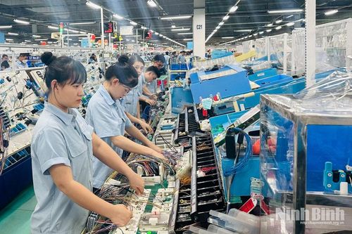 Thu hẹp khoảng trống kỹ năng của sinh viên mới ra trường với thị trường lao động