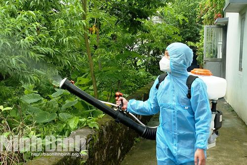 Tăng cường phòng, chống dịch bệnh sốt xuất huyết trên địa bàn tỉnh