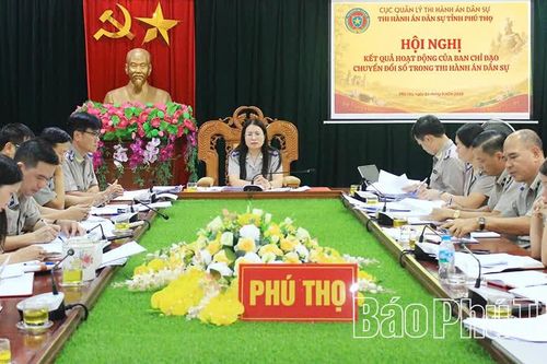 Thi hành án dân sự tỉnh triển khai nhiệm vụ những tháng cuối năm