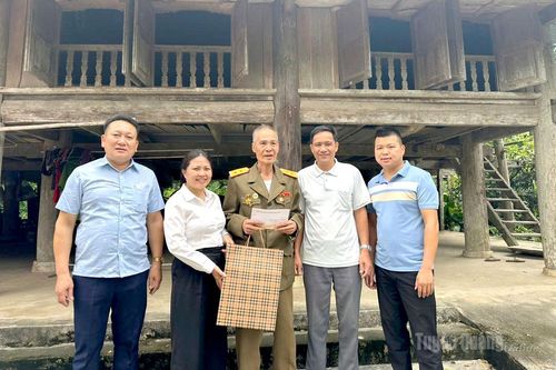 Người trẻ làm trưởng thôn