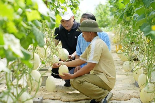 Phát triển Đảng trong hội viên nông dân: Gỡ khó để 'ươm mầm'