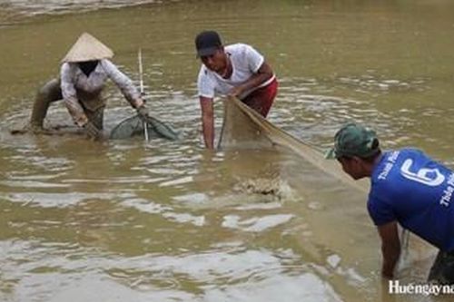 Nâng cao hiệu quả thực hiện các chính sách hỗ trợ phát triển nông nghiệp