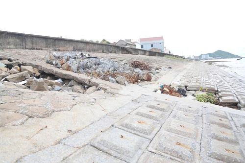 Tăng sức chống chịu cho đê biển Hà Tĩnh trước thiên tai