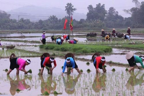 Phú Thọ: Phát huy nguồn lực văn hóa người Mường trong phát triển công nghiệp văn hóa
