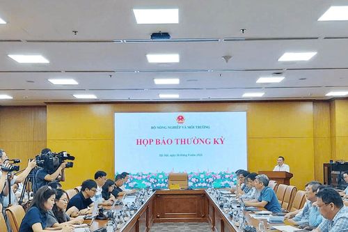 Nông nghiệp xuất siêu 14,25 tỷ USD sau 8 tháng