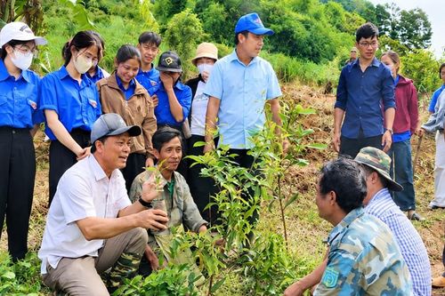 Để sinh kế không dừng lại khi chính sách hỗ trợ kết thúc