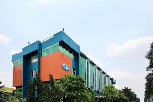 Gỗ Trường Thành: 7 năm tái cơ cấu nhưng lỗ lũy kế vẫn phình to, cổ phiếu vào diện cảnh báo