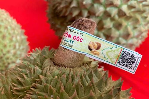 Bộ NN&MT sắp đưa ứng dụng truy xuất nguồn gốc nông sản lên điện thoại