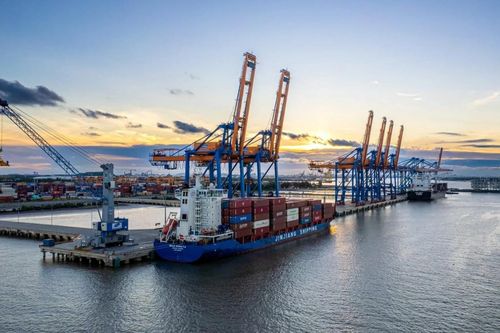Gemadept sắp phát hành hơn 216 triệu cổ phiếu thưởng
