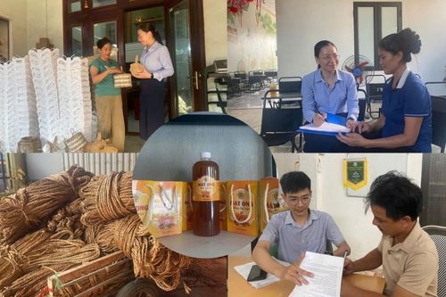Tài chính vi mô đồng hành giúp phụ nữ thoát nghèo