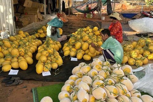 Nông nghiệp giữ đà tăng trưởng, bài toán lớn ở 4 tháng cuối năm