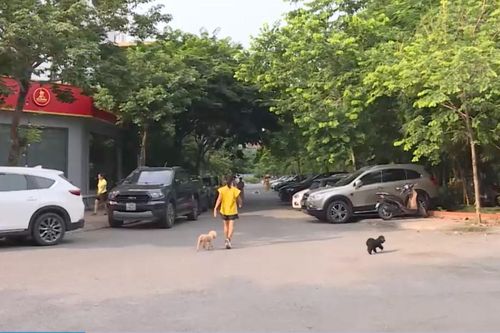 Đỗ xe tràn lan quanh hồ Trung Văn