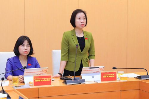 Giám sát việc triển khai cơ chế chính sách trong lĩnh vực môi trường