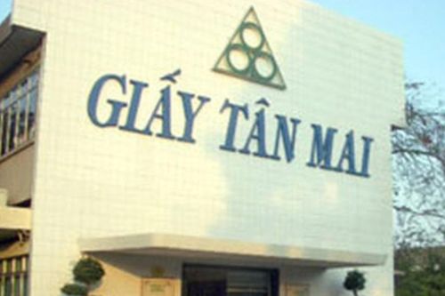 Thanh tra Chính phủ chỉ ra loạt sai phạm tại Tập đoàn Tân Mai