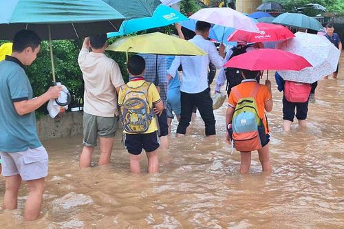 Hà Nội yêu cầu các trường chủ động ứng phó với diễn biến bất thường của thời tiết