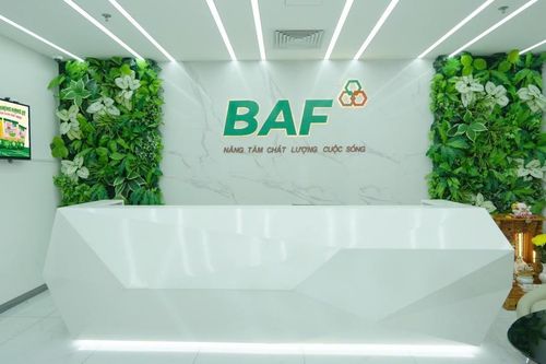 BAF Việt Nam (BAF) có tân Phó Tổng Giám đốc