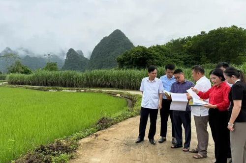 Giám sát kết quả thực hiện kế hoạch đầu tư công trung hạn tại xã Đông Khê, Phục Hòa