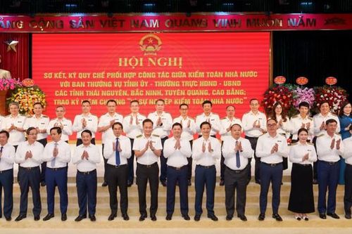 Kiểm toán không chỉ để phát hiện sai phạm