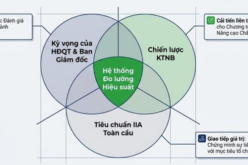 Thực thi chuẩn mực kiểm toán nội bộ: Từ tuân thủ đến kiến tạo giá trị doanh nghiệp