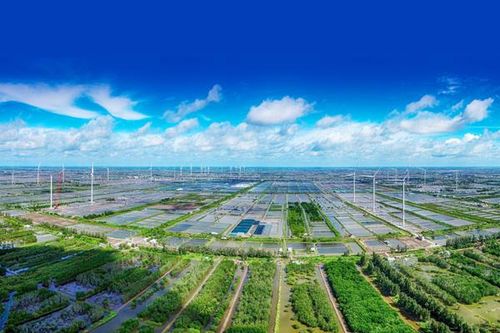 Tạo lực kéo cho kinh tế xanh, kinh tế tuần hoàn