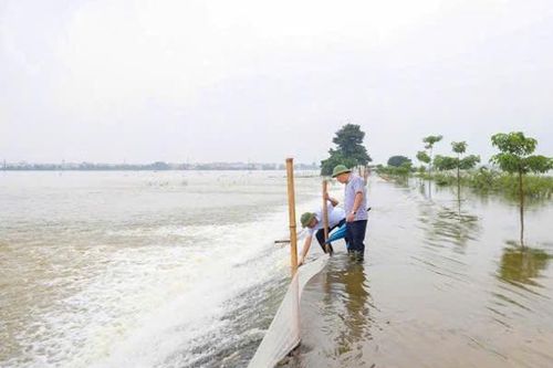 Chủ động ứng phó với lũ trên sông trước diễn biến thời tiết phức tạp