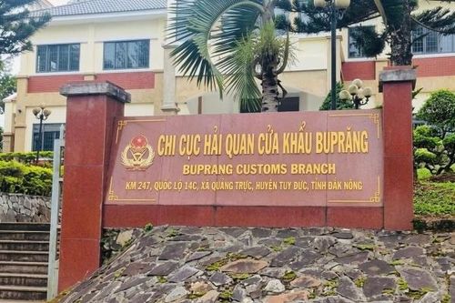 Lâm Đồng đề nghị bố trí đơn vị giám định sinh vật gây hại tại cửa khẩu BuPrăng và Đăk Peur