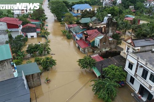 Mưa lũ khiến hơn 2.200 nhà dân bị ngập, 10.000ha cây trồng thiệt hại