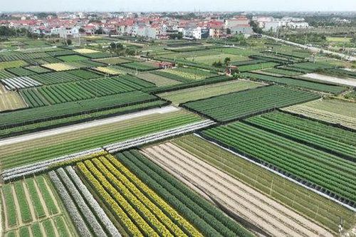 Hà Nội: Bãi bỏ quy trình nội bộ, quy trình điện tử giải quyết nhiều thủ tục hành chính lĩnh vực đất đai