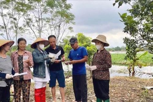 Kim Anh tập trung phòng, chống sốt xuất huyết mùa cao điểm