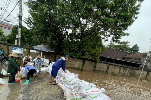 Chủ động ứng phó mưa lũ, bảo đảm an toàn vùng ven sông Đáy