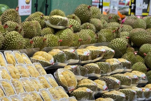 Tiểu thương chỉ cách phân biệt sầu riêng Ri6, Thái Monthong, Musang King và Black Thorn