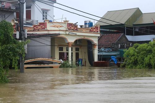 Mưa lũ khiến hơn 3.000 hộ dân ở Ninh Bình bị ngập, hàng trăm người được sơ tán