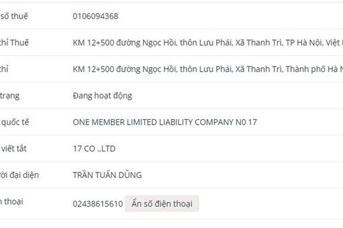 Công ty TNHH MTV 17 vi phạm chứng khoán