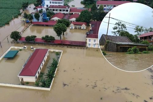 Hơn 10.000 ha cây trồng thiệt hại, hàng nghìn nhà dân bị ngập do mưa lũ