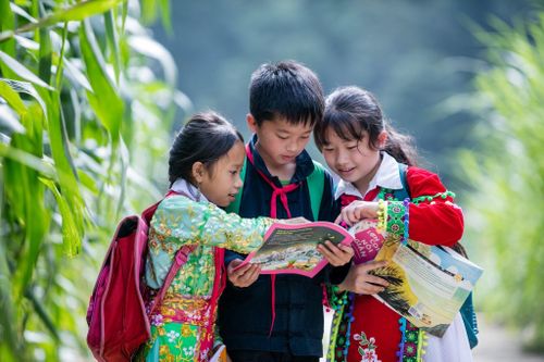 Làm sao đạt mục tiêu 80% người Việt Nam thích đọc sách vào năm 2030?